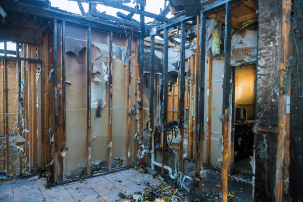 Professional Fire Damage Assessment technician working in Wanamingo, MN